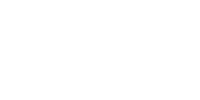 Shopify Partner